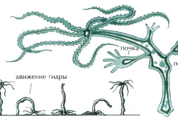 Мега даркнет tor books net